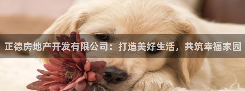 永利链条