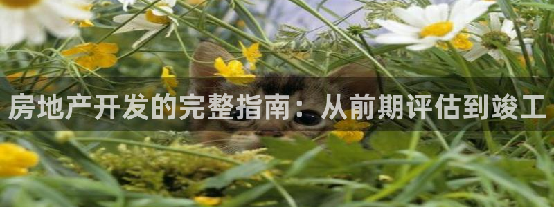 永利皮革