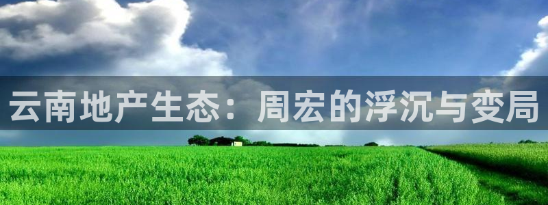 永利是做什么的