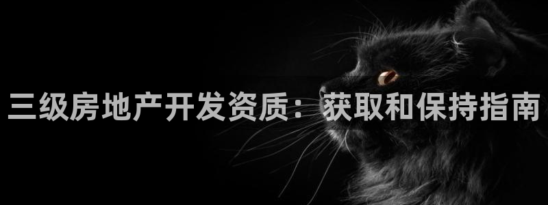 佛山永利工业皮带厂招聘