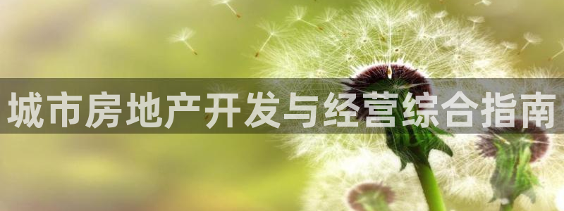 永利网是不是真的假的