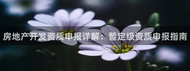 永利皇府黄立青身价