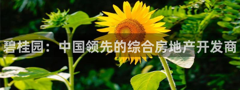 永利大酒店事件