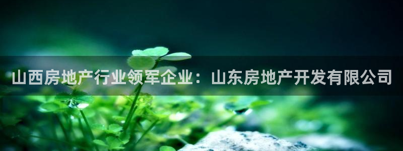永利酒店老板是谁