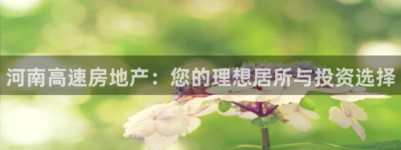 永利正版