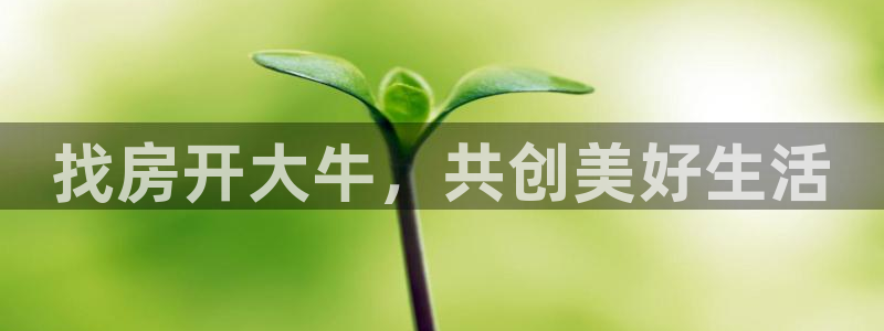 8876138永利出钱不成功