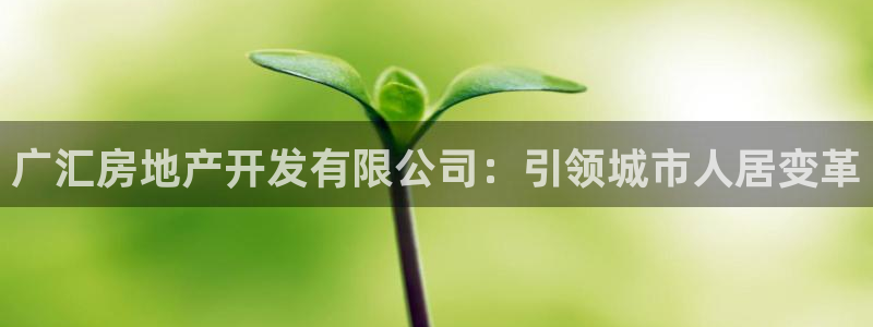 永利投资合法吗