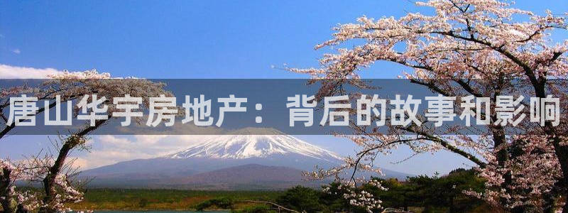 永利网是干什么的,能挣到钱吗安全吗