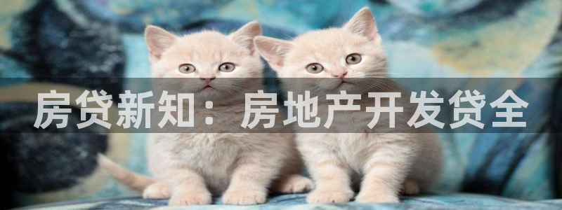 永利厂牌