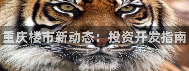 永利账号交易