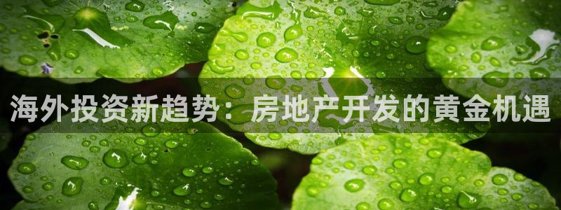 永利带业股票