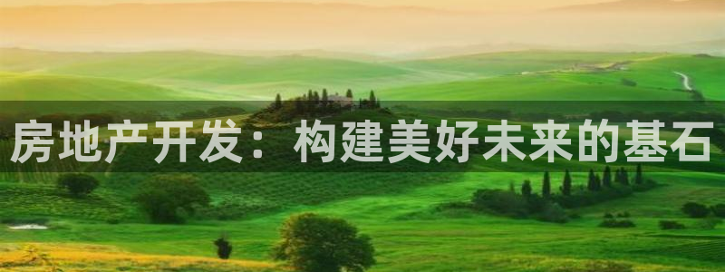 浙江永利集团董事长