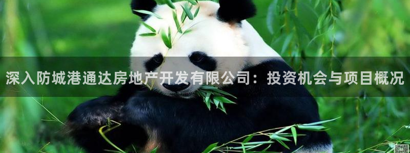 永利网9900777可靠吗