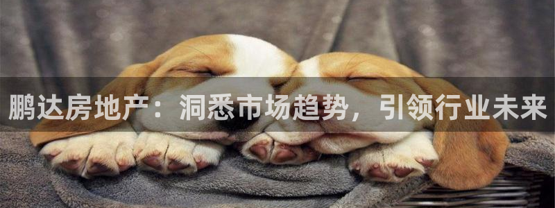 永利网是不是真的