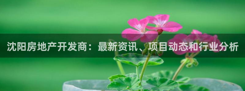 佛山永利车业