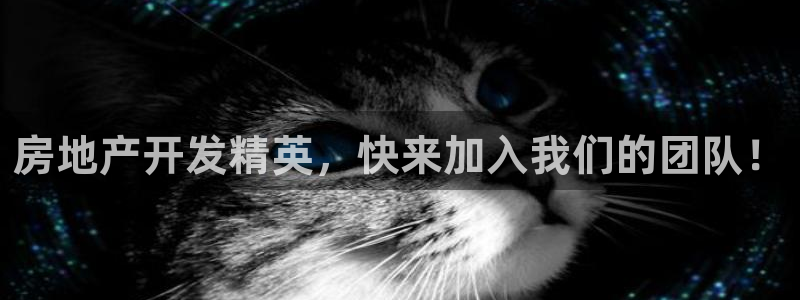 永利 官网