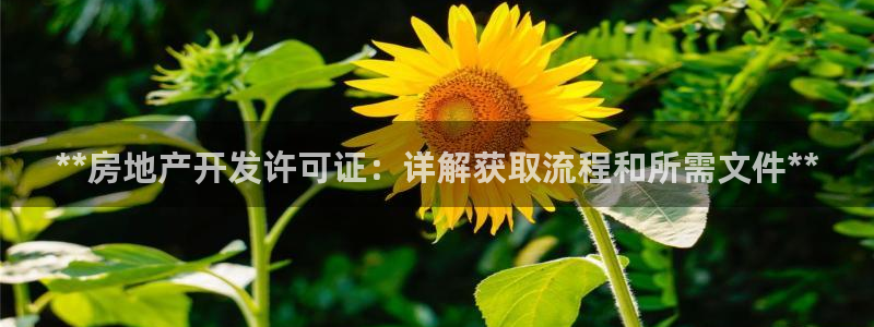 永利股份最新