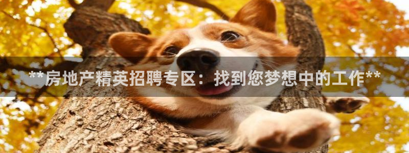 永利皇府黄立青个人资料