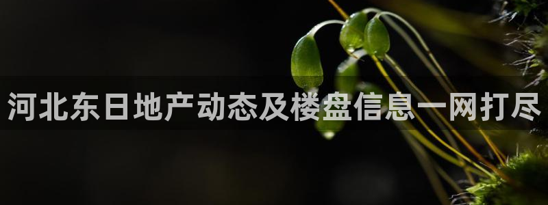 永利餐饮管理有限公司