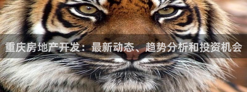永利官网中心
