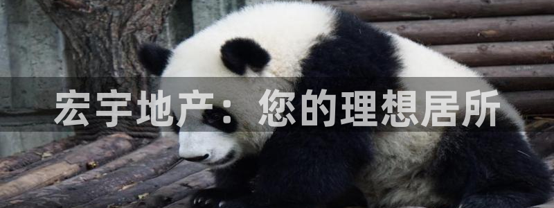 永利集团董事长