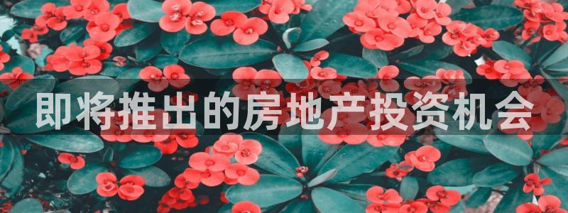 永利地产工程有限公司