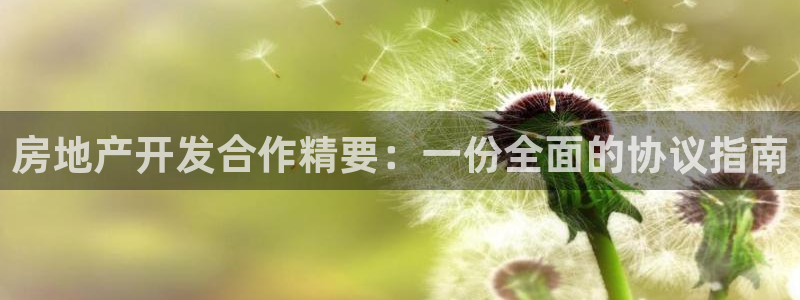 永利提款提不出来