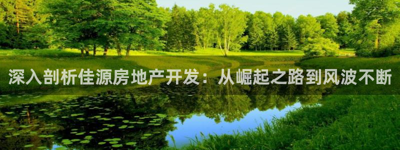 永利股份有限公司