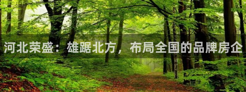 山东永利新材料