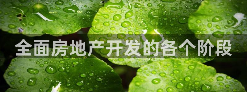 永利输送带