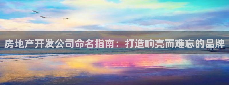 永利制带
