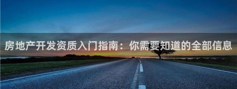 永利皮带报价