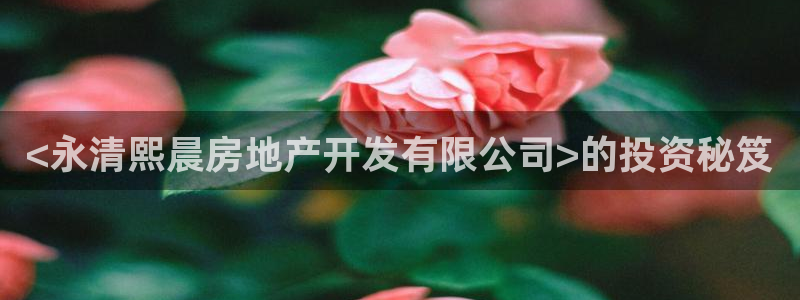 永利是做什么的