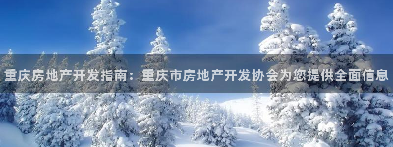 山东永利新材料