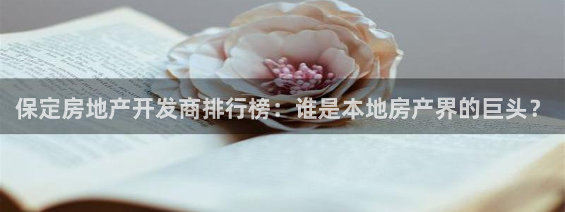 永利背一分