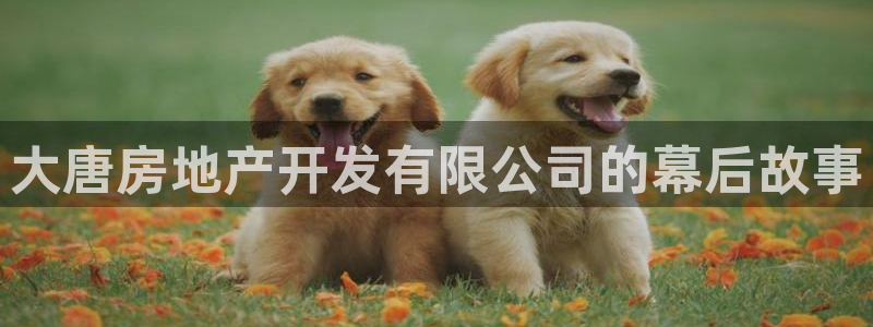永利集团简介及地址