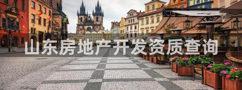 永利能源开发有限公司