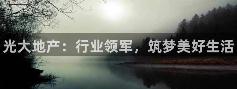 永利股份做什么