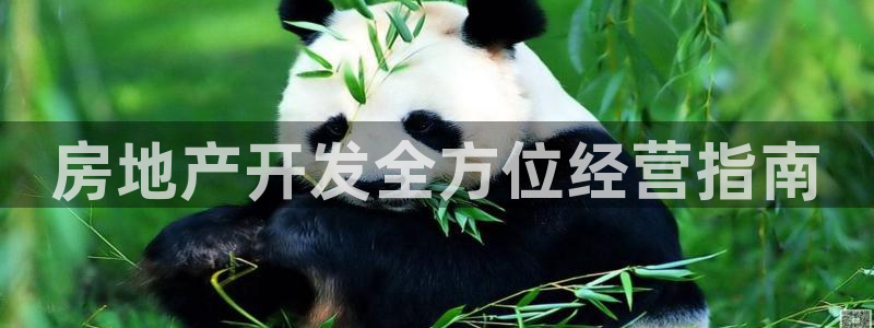 永利铔厂总技师长