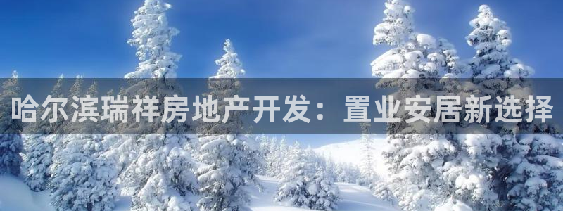 永利汇团购