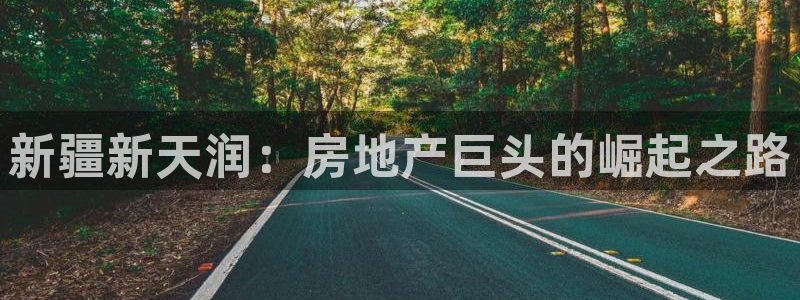 苏州金沙永利怎么样