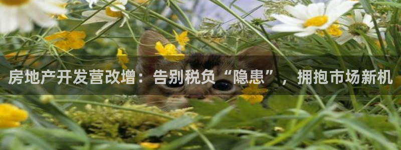 永利制版厂