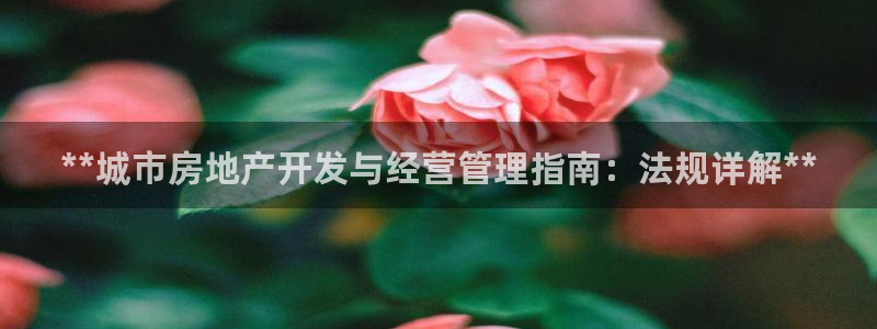 永利杯掼蛋