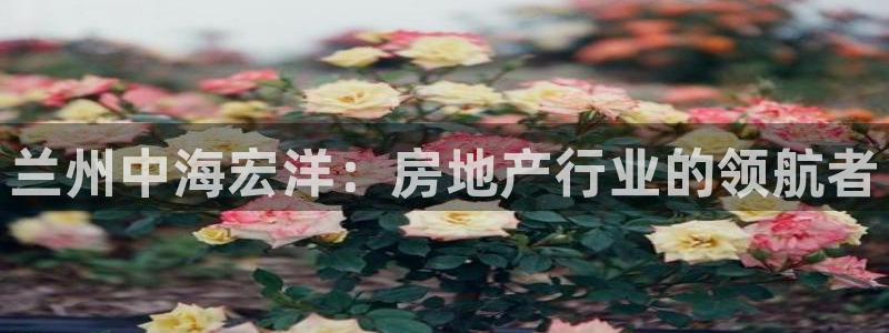 永利皮带型号说明书图片