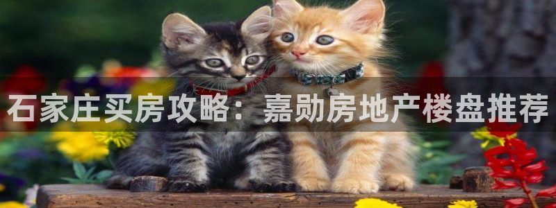 永利工艺品有限公司