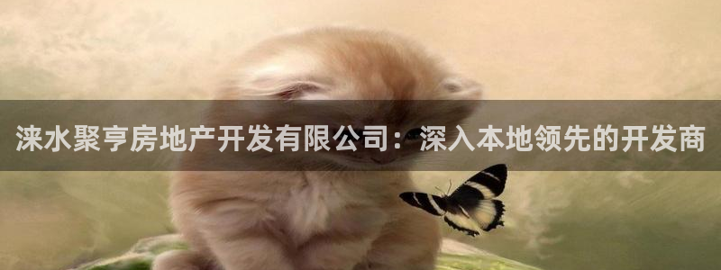 永利五金怎么样