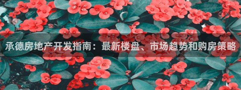 永利返利