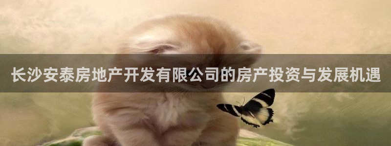 永利网是干什么的,能挣到钱吗知乎