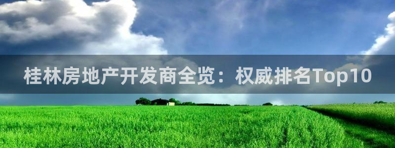 永利nev可靠吗