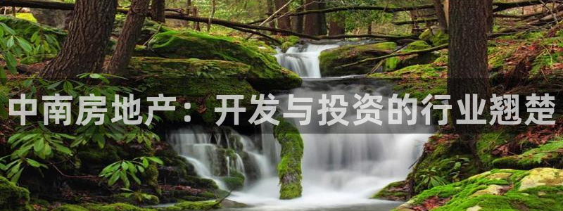 永利股份有限公司
